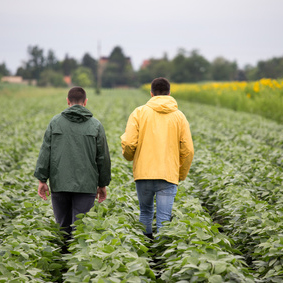 Niente esonero IRPEF per gli agricoltori nel 2024