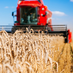 Legge delega per la Riforma fiscale: le novità attese in agricoltura