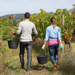 Legge di Bilancio 2023: 20 milioni di euro per l’autoimprenditorialità femminile e il ricambio generazionale in agricoltura