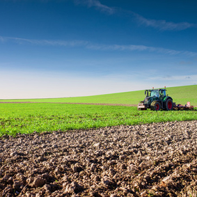 Terreni agricoli e partecipazioni rivalutabili al 16%